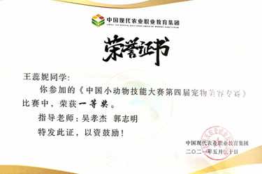 中国小动物技能大赛第四届宠物美容专赛一等奖