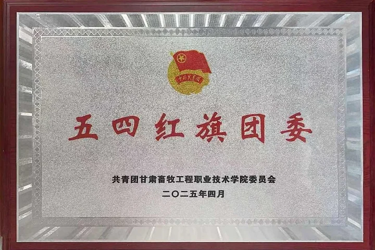 五四红旗团委