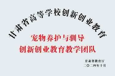 宠物养护与驯导创新创业公司产品团队