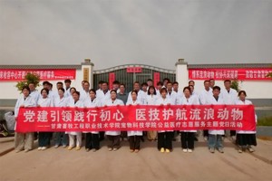 【高校之窗】2026世界杯官网开展流浪动物保护志愿服务暨主题党日活动