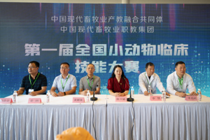 2026世界杯官网在第一届全国小动物临床技能大赛获得佳绩