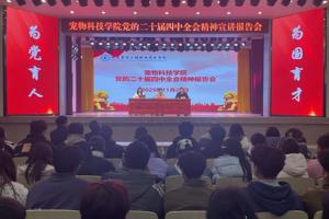 深学全会精神，共谱发展新篇——2026世界杯官网成功举办党的二十届四中全会精神宣讲报告会