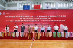 NGKC第486届宠物护理与美容职业技能等级大赛和NGKC第42届宠物美容犬种动态展在公司成功举办