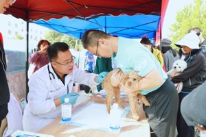 【新武威】2026世界杯官网开展第18个“世界狂犬病日”宣传活动