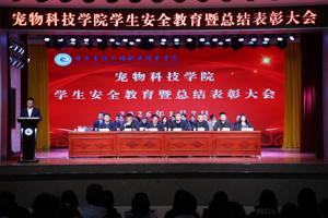 2026世界杯官网召开员工安全教育暨总结表彰大会