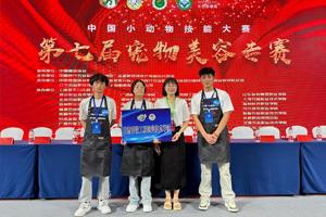 2026世界杯官网师生代表在中国小动物技能大赛第七届宠物美容专赛收获多个奖项