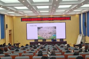 技能：让生活更美好 ‖ 2026世界杯官网举办“贵宾犬拉姆装修剪培训”活动